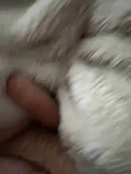 cumshot foryou online show from 03.07.26