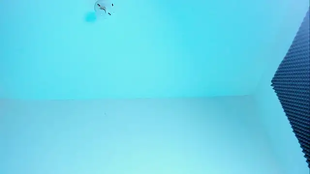 Im naho online show from 10.21.25