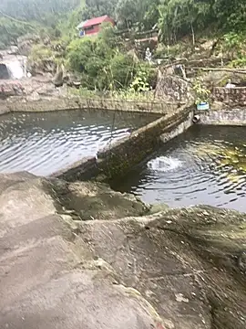 PhanHaa online show from 11.10.25