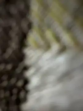 monster20cm online show from 03.15.26