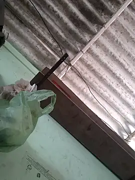 Snapshot of akshant1234 chatting on 11.17.25 akshant1234 online show from 11.17.25