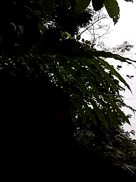 Snapshot of linda_bae00 chatting on 11.05.25 linda bae00 online show from 11.05.25