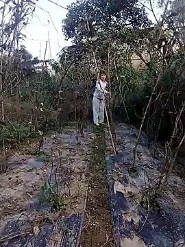 Snapshot of linda_bae00 chatting on 11.27.25 linda bae00 online show from 11.27.25