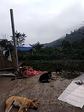 linda bae00 online show from 12.19.25