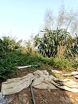 linda bae00 online show from 03.02.26