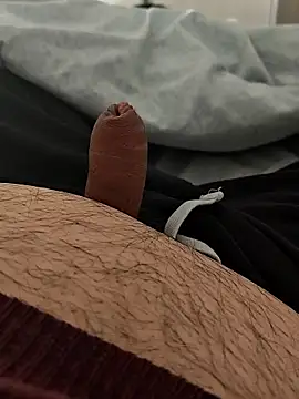 t-dog26 online show from 01.11.26