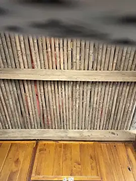 EmLy02 online show from 04.13.26