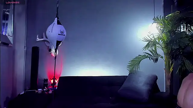 dennis cox1 online show from 01.11.26