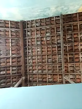 NegroAracaju online show from 04.19.26