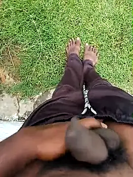 dolphiinn online show from 11.09.25