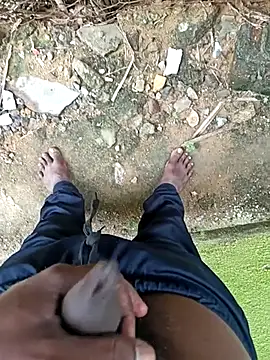 dolphiinn online show from 12.18.25