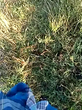 dolphiinn online show from 04.19.26