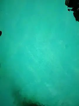 Arti13A online show from 01.17.26