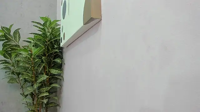 scarlett646 online show from 12.02.25