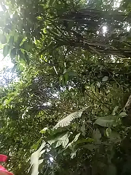 Snapshot of dulcelatin21 chatting on 11.25.25 dulcelatin21 online show from 11.25.25