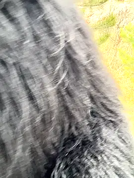 desiredude9 online show from 11.01.25