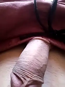 bemmagrinho36 online show from 02.06.26