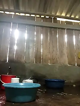 Ngocmi909 online show from 11.17.25