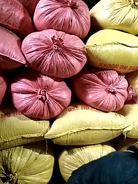 Sa2mh20 online show from 02.11.26