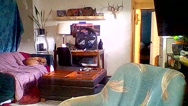 cutiekayls online show from 06.22.26