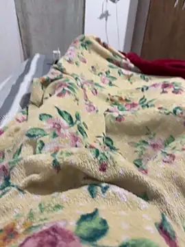 Nupau online show from 03.07.26