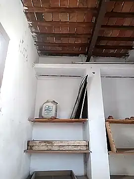 PunjabiSardarBull online show from 04.21.26