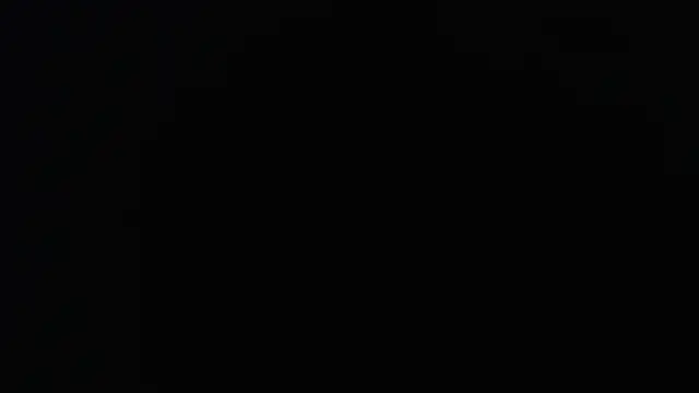 knodli online show from 11.16.25