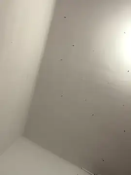 Snapshot of davidxxx099 chatting on 11.22.25 davidxxx099 online show from 11.22.25