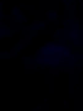 changavega online show from 10.31.25