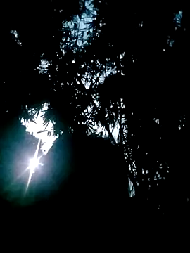 Lisa pusy online show from 10.22.25