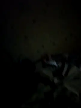 Snapshot of IncompatibleBean41 chatting on 09.20.25 IncompatibleBean41 online show from 09.20.25