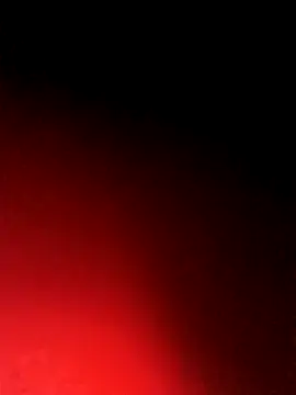 Snapshot of BlackCobraOwner chatting on 10.15.25 BlackCobraOwner online show from 10.15.25