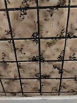 Snapshot of rosembertg chatting on 10.02.25 rosembertg online show from 10.02.25