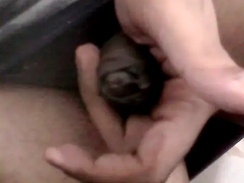 Bakasur 19 online show from 10.09.25