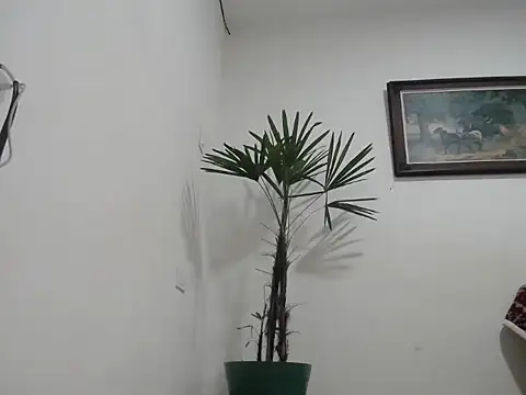 Snapshot of Young_handsome chatting on 09.11.25 Young handsome online show from 09.11.25