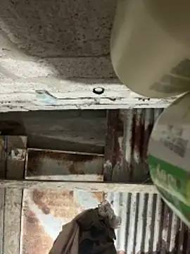 SaraBust online show from 04.07.26