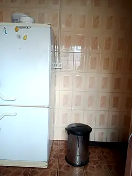 Snapshot of CARAMELSD chatting on 10.04.25 CARAMELSD online show from 10.04.25