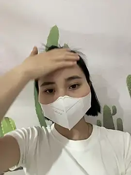 Zinsetka online show from 03.12.26