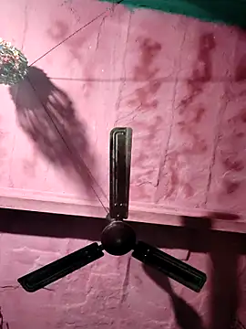 Pooja750 online show from 03.01.26