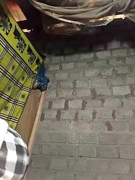 tcm-cute online show from 02.09.26