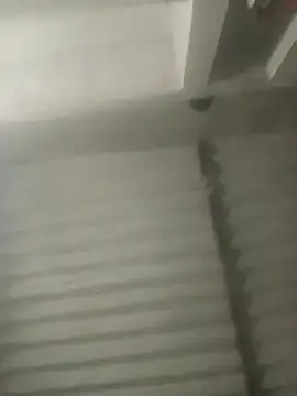 Payal950 online show from 10.18.25