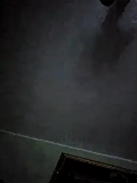 Snapshot of Ricotta1 chatting on 01.19.26 Ricotta1 online show from 01.19.26