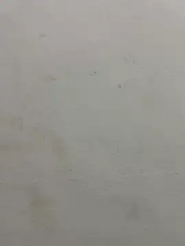 jully-jully online show from 09.24.25