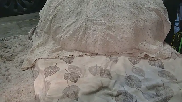 Gmajor online show from 03.15.26