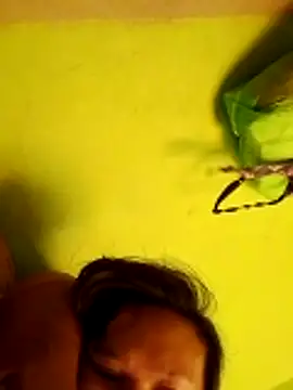 pussywet 08 online show from 05.31.26