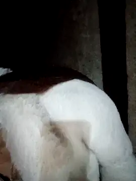 Phuong xxx online show from 02.12.26