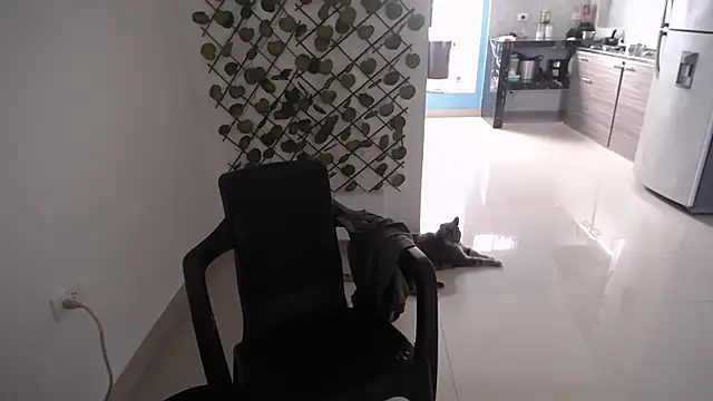 yohacriss online show from 12.16.25