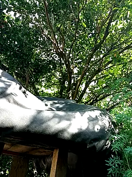 Snapshot of AlphaAlterX chatting on 12.16.25 AlphaAlterX online show from 12.16.25