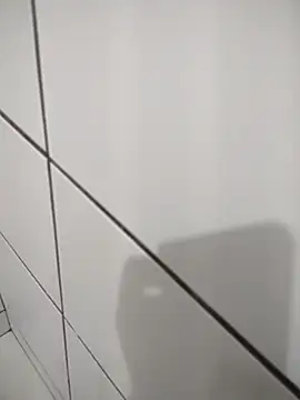 Snapshot of Novin23cms chatting on 11.14.25 Novin23cms online show from 11.14.25