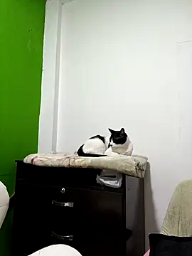 kate rosse02 online show from 02.11.26